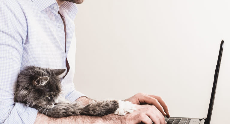 Man jobbar med katten vid datorn.