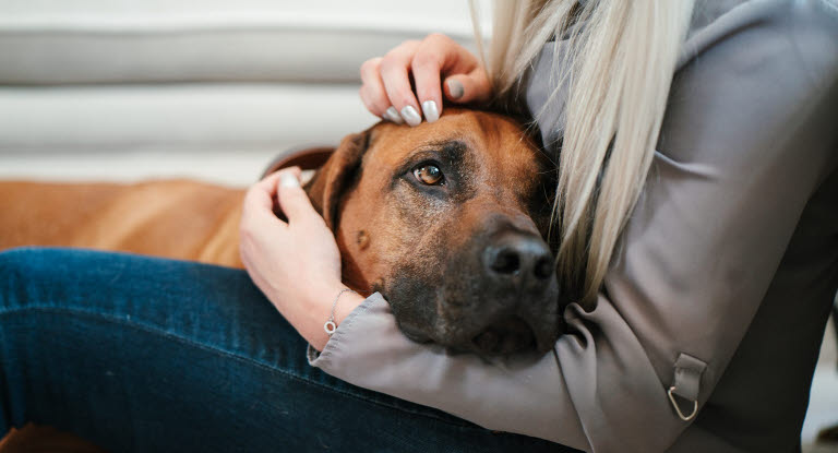 kvinna som klappar en hund