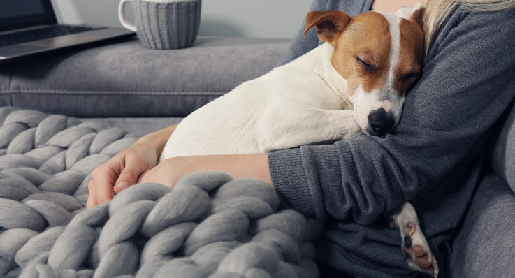 Agria stödjer veterinärmedicinsk forskning