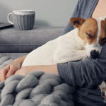 Agria stödjer veterinärmedicinsk forskning